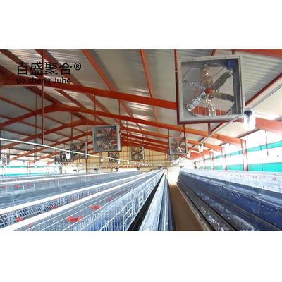 Caixa de reprodução de frangos profissional padrão ASTM com revestimento galvanizado a quente
