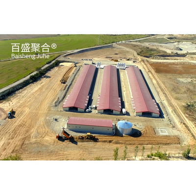 Alta tolerância Caixa de galinha de tipo camada para 1000-10000 galinhas poedeiras na agricultura siderúrgica