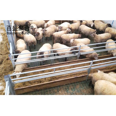 Q235 Aço com baixo teor de carbono Preconceito pesado Estrutura de aço do celeiro de ovelhas/vacas Casas agrícolas Casas de frango comerciais