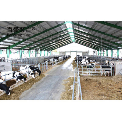 Moderno Design Estrutura de Aço Vaca Bodega Laticínio Lactação Granja Gabinete Edifício com vigas de aço H vigas