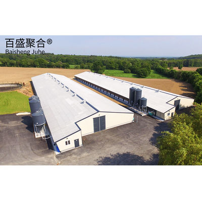 Edifício pré-fabricado de quinta de vacas com estrutura de aço pesado Construção