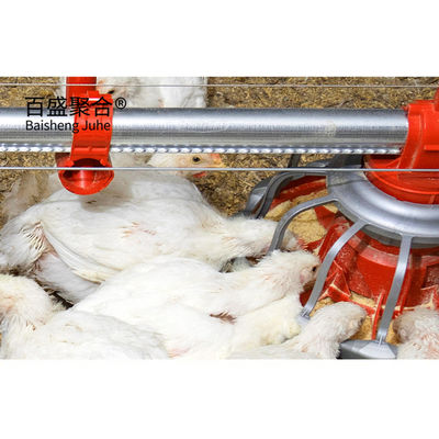 ISO9001 2008/CE/BV Certificado Quadro de aço Fama de frango para galpão de aves de capoeira de lado aberto Tipo