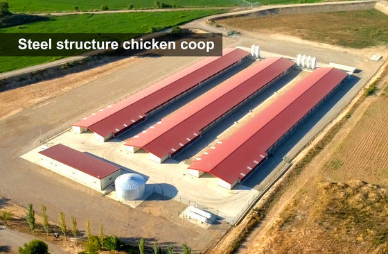 Agricultura siderúrgica Agricultura de aves de capoeira pré-fabricada Construção com gaiolas de galinhas e galpões de metal