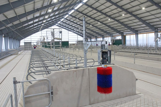 Serviço de corte Construção de estruturas pré-fabricadas de aço para construção estável de cavalos