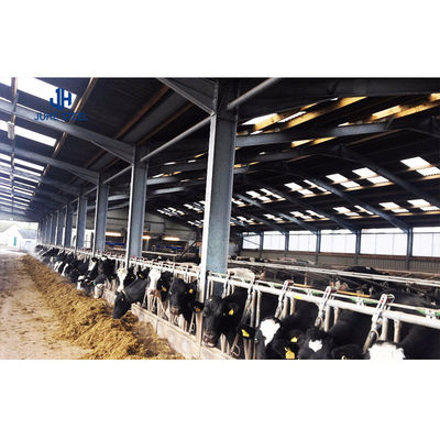 Estrutura de aço leve de cor personalizada Casa de fazenda de cabras Abrigo de ovelhas Fazenda de gado Abrigo de vaca Construção