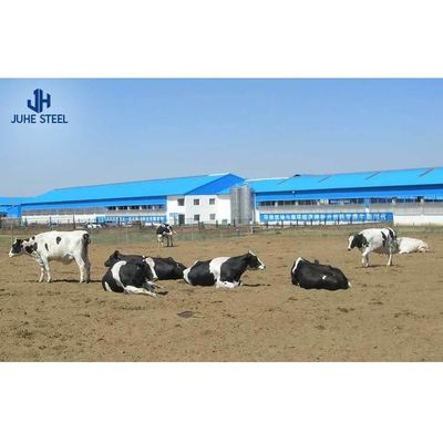 Prefabricated Steel Cow Milk Farm House with Sandwich Panel Roofing and Rolling Door (Casa Prefabricada de Aço de Leite de Vaca com Painel de Sandwich e Porta Rodante)