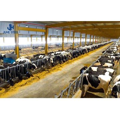 2-10 metros de altura construção de fazenda de vacas casa de vacas Design de celeiro com 60 mm de diâmetro de tubo