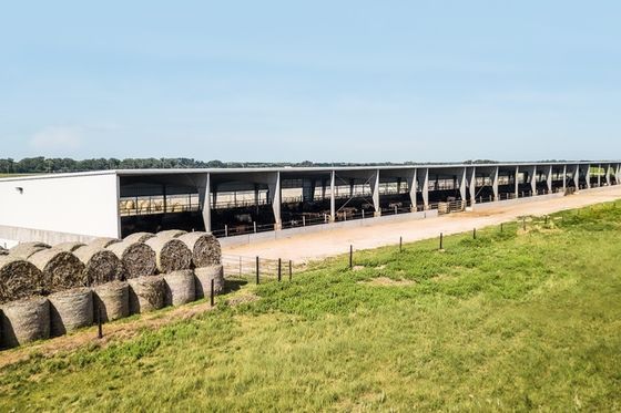 Aço Agricultura e Pecuária Construção Baler de palha redonda de 80 kg com serviço de corte