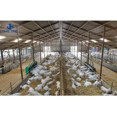 Q235/Q355B Estrutura de aço de qualidade Abrigo de vacas para a gestão do gado