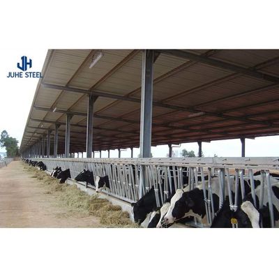Q235/Q355B Estrutura de aço de qualidade Abrigo de vacas para a gestão do gado