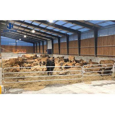 Q235/Q355B Estrutura de aço de qualidade Abrigo de vacas para a gestão do gado