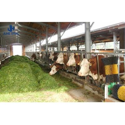 Q235/Q355B Estrutura de aço de qualidade Abrigo de vacas para a gestão do gado