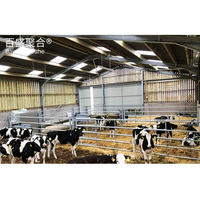 Q235B/Q345B Estrutura de aço de baixo carbono Casa de porco pré-fabricada
