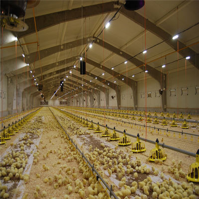 Q235/Q345 Construção de quintas de aves de capoeira de aço com baixo teor de carbono para vacas e cabras