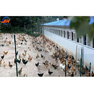 Q235B/Q345B Estrutura de aço com baixo teor de carbono Estrutura de aço Cozinha de frango Casas de frango pré-fabricadas