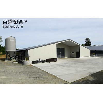 Estrutura de aço pré-fabricada para avicultura
